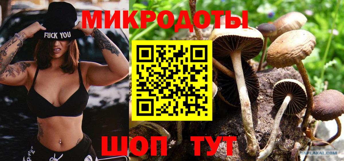 как найти закладки  Галлюциногенные грибы прущие грибы  Вход с VPN  Михайловск 