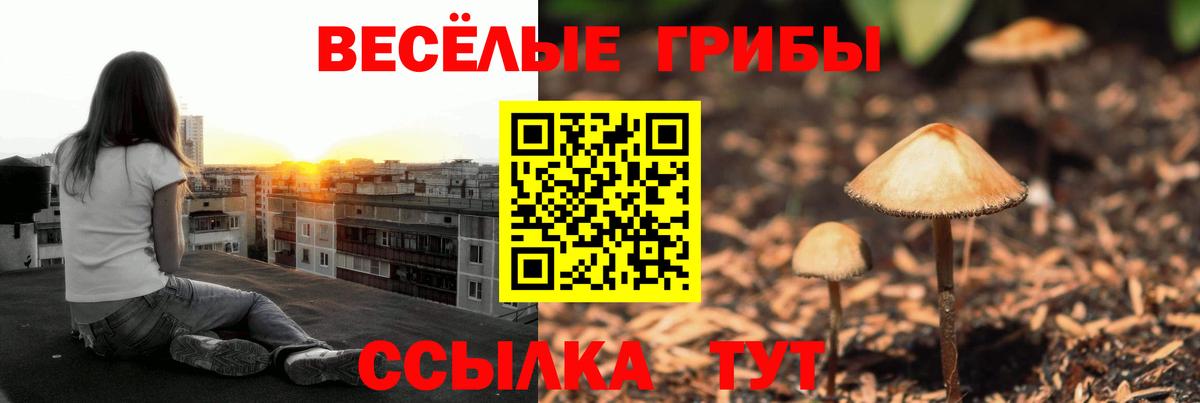 Галлюциногенные грибы Psilocybine cubensis Михайловск